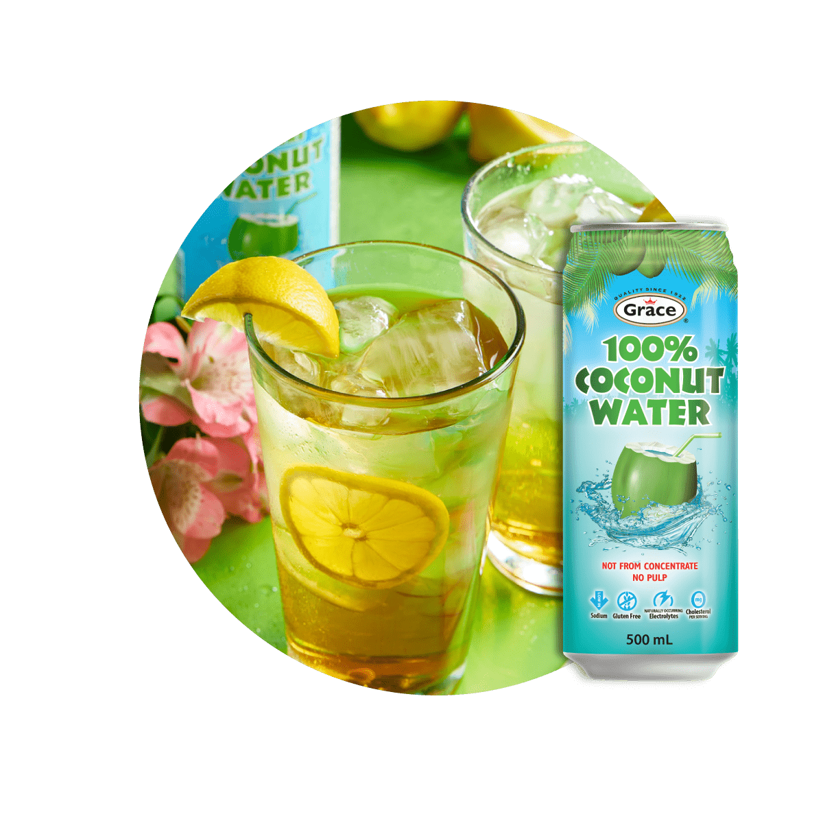 CoconutWater Recipe small 1
