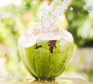 Grace_Web-Coconut-Water-Desktop_1 Grace Web Coconut Water Desktop 1