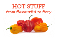Grace_Web_Favourites-03