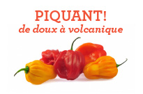 Grace_Web_Favourites-HotSauces-FR