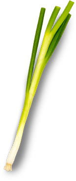 Jerk Desktop Onion