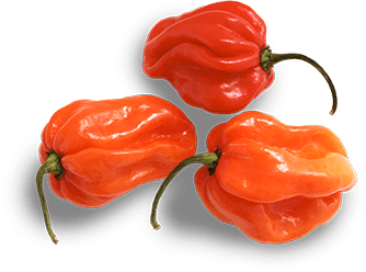 Jerk Desktop Peppers