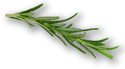 Jerk Desktop Thyme