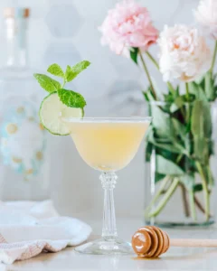 SocialSipper Coconut Water Gimlet