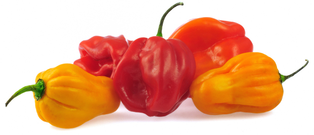 capsicums