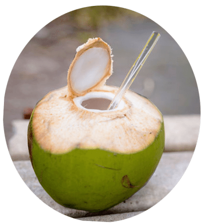 green coconut with straw