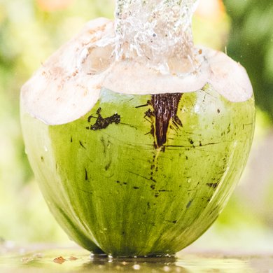 homepage Coconut Splash