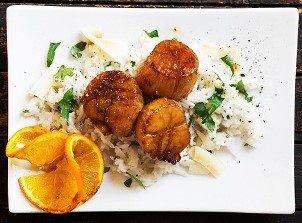 scallop